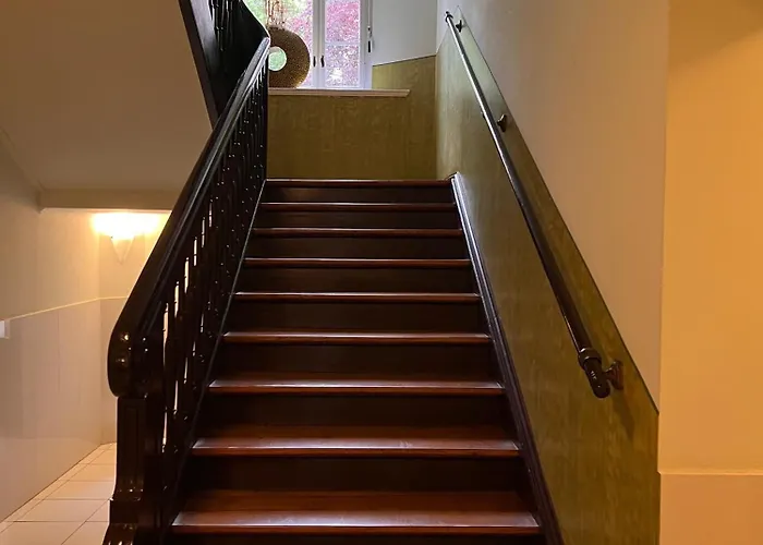 18 Boutique Mit Gartenblick Kostenfreies Parken Zoo Und Zentrum Fusslaeufig 아파트